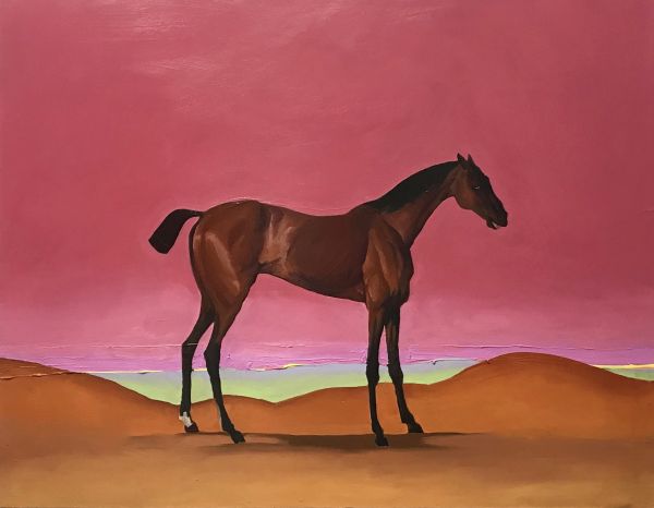 Visions West Gallery :: Universe of the Horse