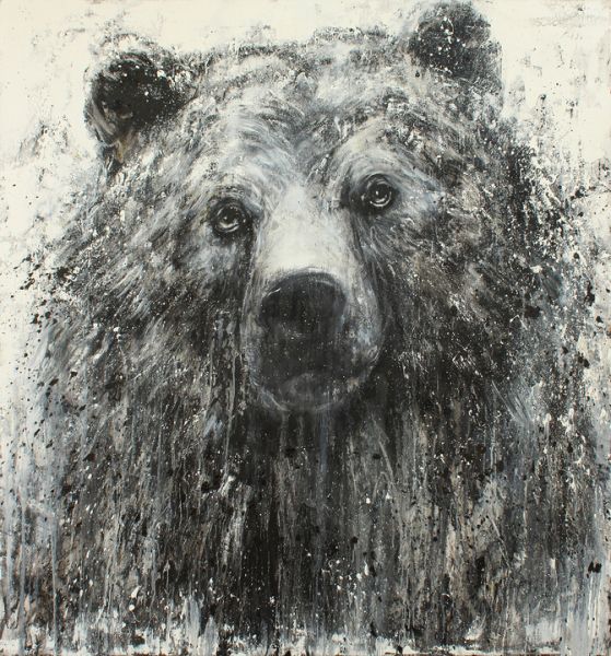 Visions West Gallery :: Transmissions from the Wilderness