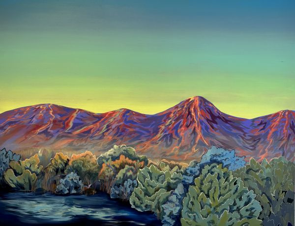 Visions West Gallery :: Rough Out