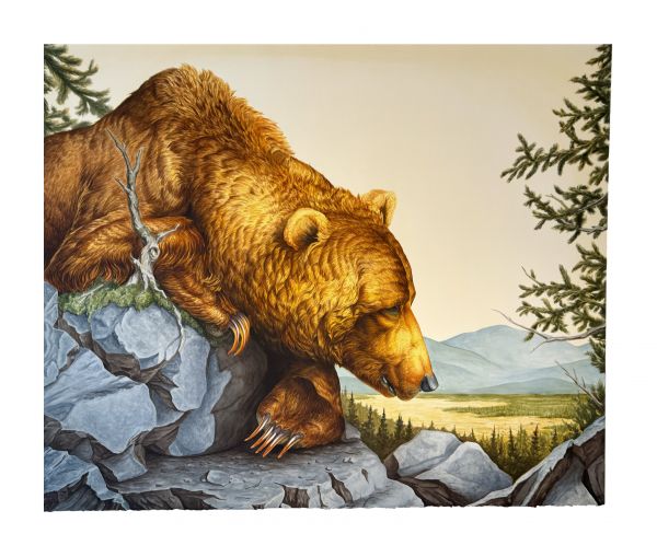 Visions West Gallery :: Mountain Standard Time