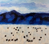 Visions West Gallery :: Bruce :: Dell Angus #6