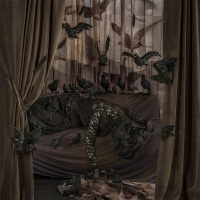 Visions West Gallery :: Bruce :: A Murder of Crows