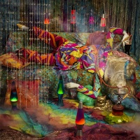 Visions West Gallery :: Bruce :: Happy Hippie