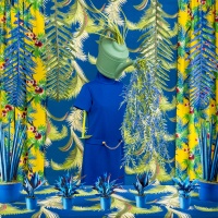 Visions West Gallery :: Bruce :: Planty