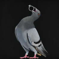 Visions West Gallery :: 1 local-wildlife Robin :: Ring