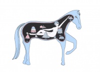 Visions West Gallery :: Bruce :: Inside the Belly of a Horse, edition of 22