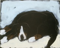 Visions West Gallery :: Bruce :: Paddy Dr. #5