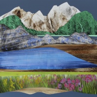 Visions West Gallery :: Bruce :: Alpine Wildflowers at Lake Irwin