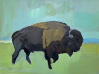 Visions West Gallery :: Bruce :: Bison 1