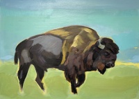 Visions West Gallery :: Bruce :: Bison 3
