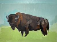 Visions West Gallery :: Bruce :: Bison 4