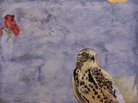 Visions West Gallery :: Bruce :: Desire