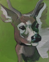 Visions West Gallery :: Bruce :: Untitled (Deer Sketch)