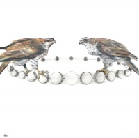 Visions West Gallery :: Bruce :: The Lunar Vibration of Hearts