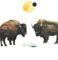 Visions West Gallery :: Bruce :: To Roam Freely Between the Shimmering Moons