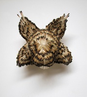 Visions West Gallery :: Bruce :: Lynx Study