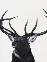 Visions West Gallery :: Bruce :: Stag (after Landseer)