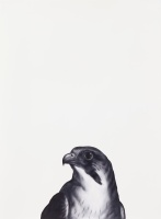 Visions West Gallery :: Bruce :: Falcon (after Landseer)