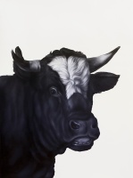 Visions West Gallery :: Bruce :: Young Bull I (after Potter)