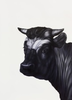 Visions West Gallery :: Bruce :: Young Bull II (after Potter)