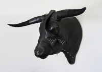 Visions West Gallery :: Bruce :: Bravado