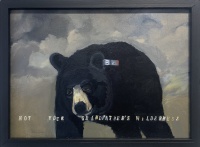 Visions West Gallery :: Bruce :: Not Your Grandfather's Wilderness