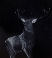 Visions West Gallery :: Bruce :: Stag (after Landseer)