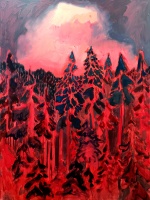 Visions West Gallery :: Bruce :: Dixie Fire 