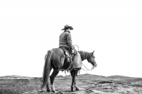 Visions West Gallery :: Bruce :: Buster