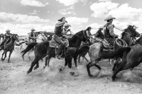 Visions West Gallery :: Bruce :: College Rodeo Kick-Off