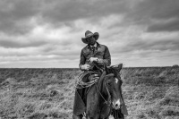 Visions West Gallery :: Bruce :: Cowpuncher