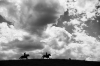 Visions West Gallery :: Bruce :: Haythorn