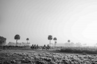 Visions West Gallery :: Bruce :: Nine Generations