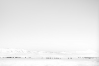 Visions West Gallery :: Bruce :: Windchill