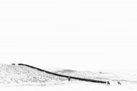 Visions West Gallery :: Bruce :: Winter Cowboys