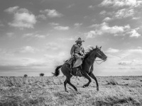 Visions West Gallery :: Bruce :: The Rider