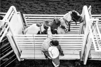 Visions West Gallery :: Bruce :: Faith