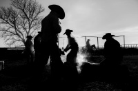 Visions West Gallery :: Bruce :: Smoke Rise