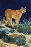 Visions West Gallery :: Bruce :: Dans Le Noir Du Firmament