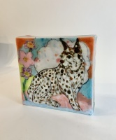 Visions West Gallery :: Bruce :: Lynx