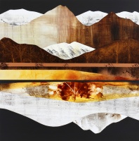 Visions West Gallery :: Bruce :: Copper Lode