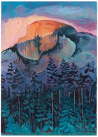 Visions West Gallery :: Bruce :: American Beauty