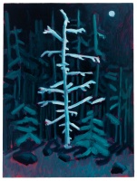 Visions West Gallery :: Bruce :: Little Ghost