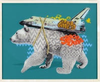 Visions West Gallery :: Bruce :: Mint Condition