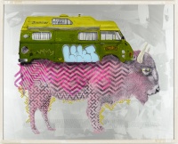 Visions West Gallery :: Bruce :: Space Hippy