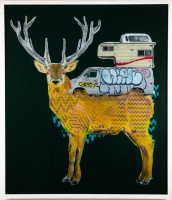 Visions West Gallery :: Bruce :: Coca Cola Sunshine