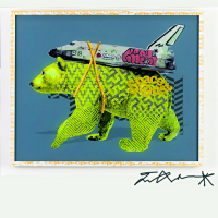 Visions West Gallery :: Bruce :: Icy Blast