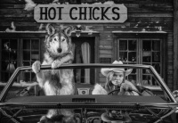 Visions West Gallery :: 1 hot-chicks David :: Hot Chicks
