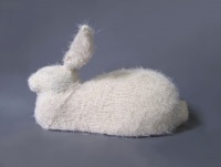 Visions West Gallery :: Bruce :: Snowshoe