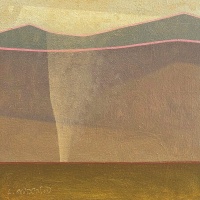 Visions West Gallery :: Bruce :: Nevada Dust